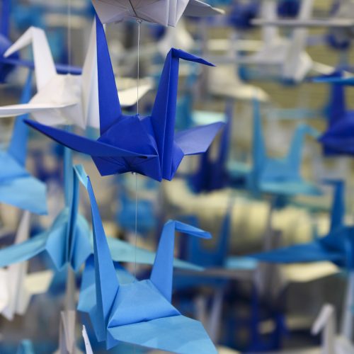 Cranes Up Close