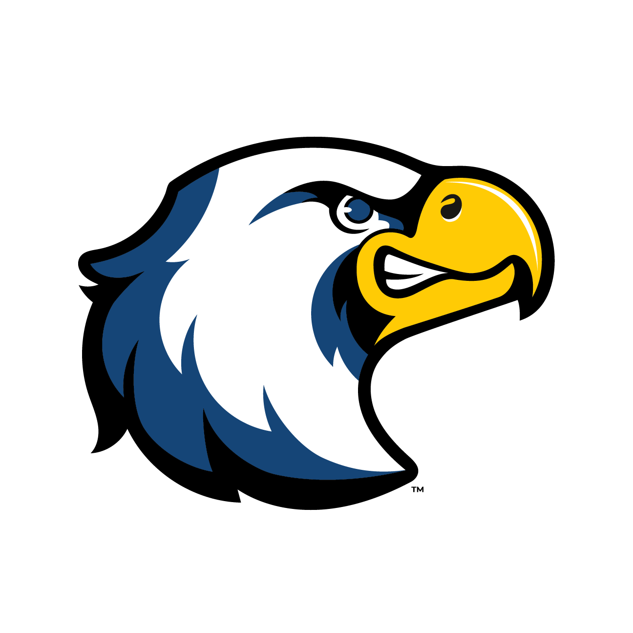 Eagle Logo Full Color on Transparent background High Resolution